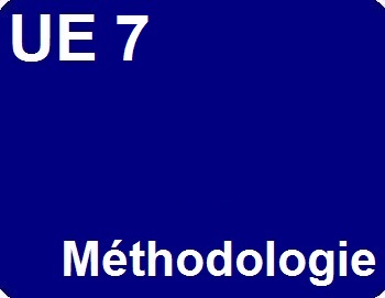 Méthodologie UE 7 : Management