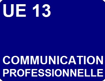 UE 13 : Communication professionnelle